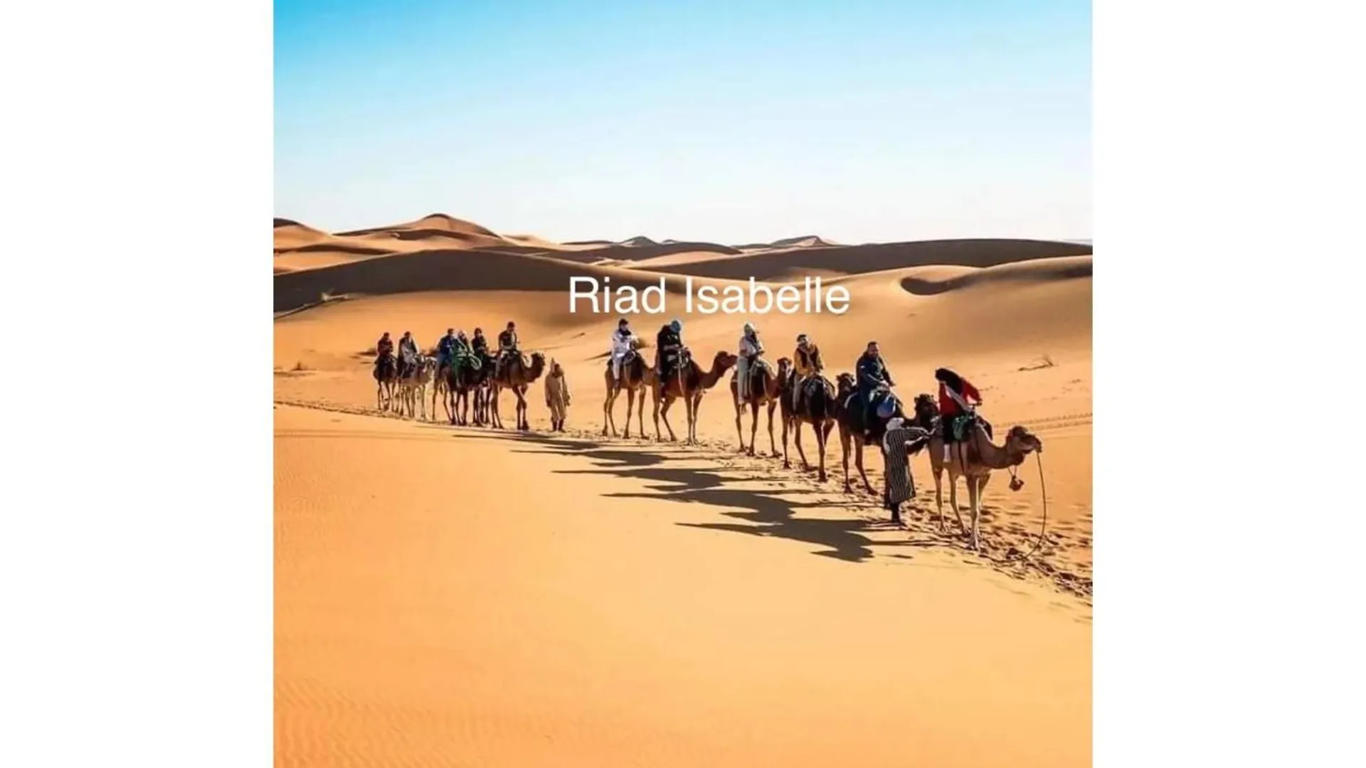Riad Clara Luxury In Heart Of Marrakech Private Comfortable Villa Marrakesh